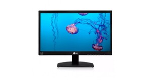 MONITOR LG 19,5 20M35TD (VGA / DVI)